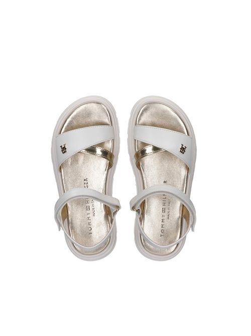  TOMMY HILFIGER | T4A2 34301 0326X048